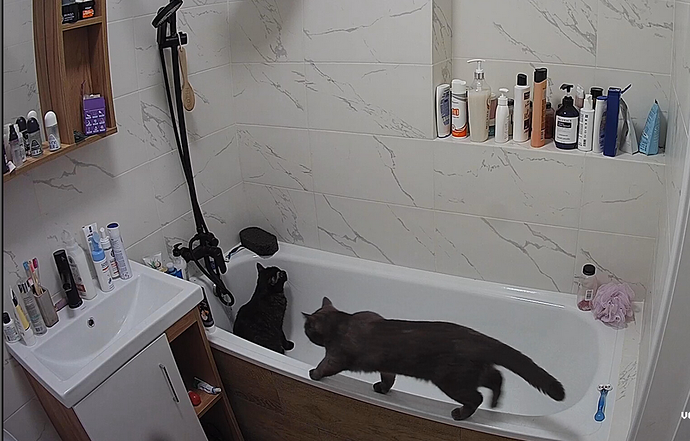 Screenshot 2023-08-14 at 14-35-00 Medea - Apartments Discussion - Voyeur House TV Forum