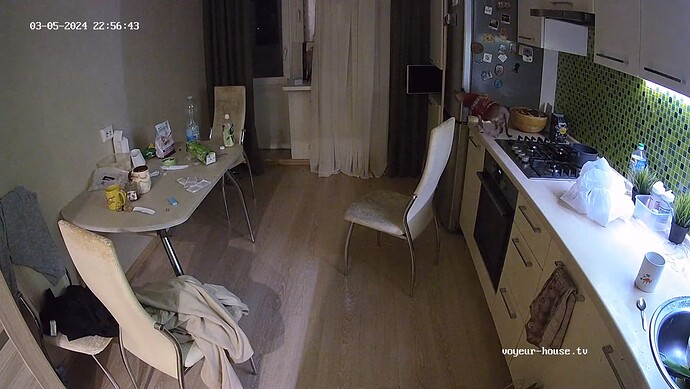 realm62-cam12-1709668634