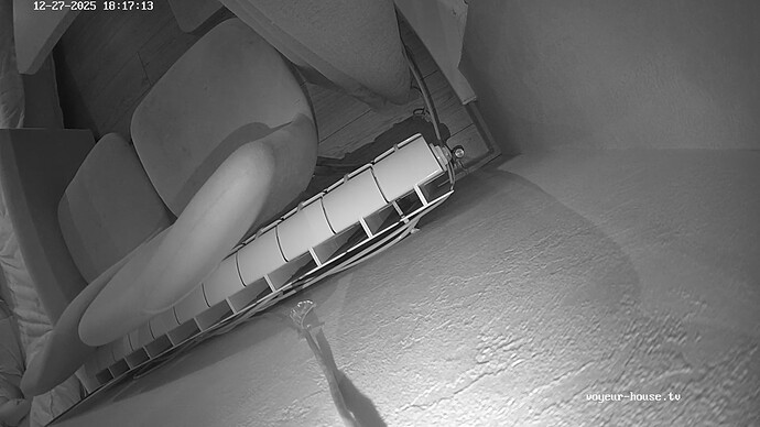 realm134-cam13-1766848666