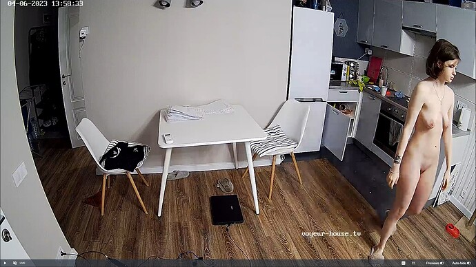 Ashampoo_Snap_jeudi 6 avril 2023_13h2m10s_007_Living room camera at Barbara reallifecam apartment at Voyeur House TV (cam14) - Google Chrome