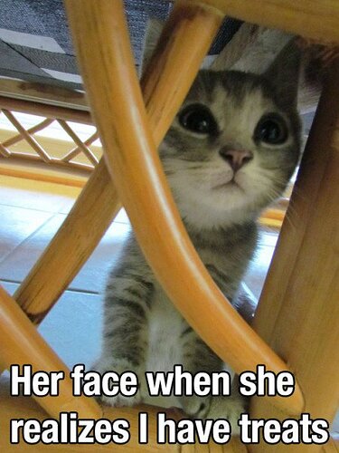 main-qimg-f76b54a35fc2c37336aa9d674e0fee3e-lq