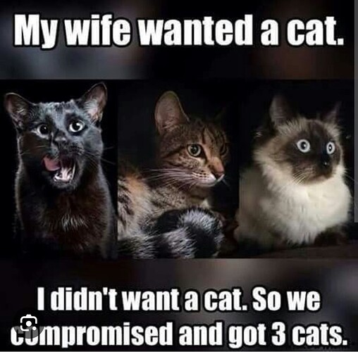 main-qimg-eac62141aeecd8c3a7b7b2cf5afb7eba