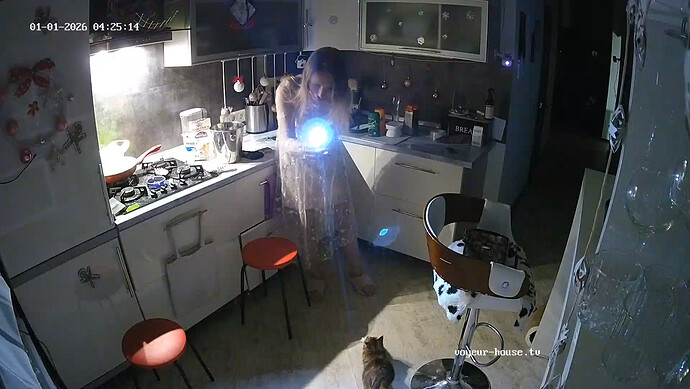 realm64-cam12-1767231442