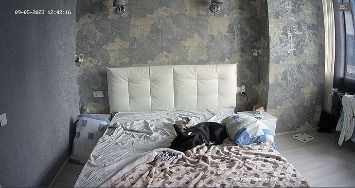 bandicam 2023-09-05 10-42-43-830