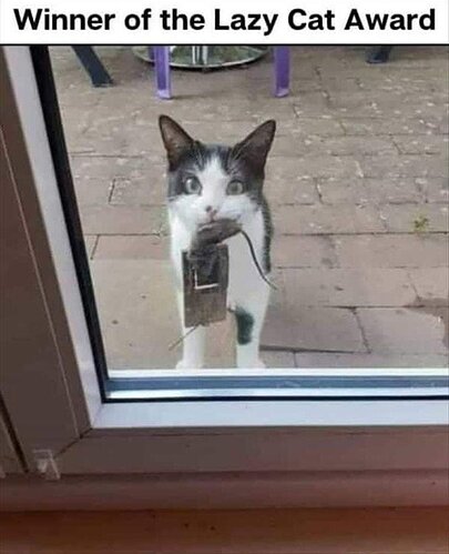 main-qimg-b7f6f11c9c73846fbc4bc4ada76217ae-lq