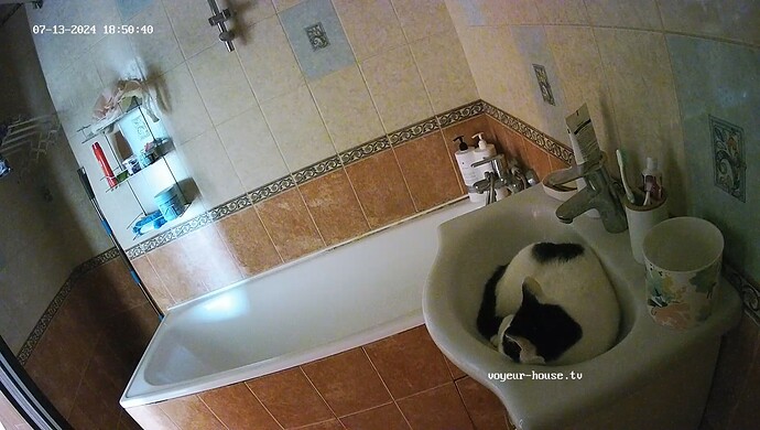 realm60-cam18-1720933218 (1)