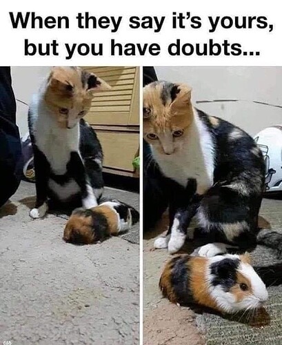 main-qimg-eaabe650eb0a8aca4b8fa0cb2538c395