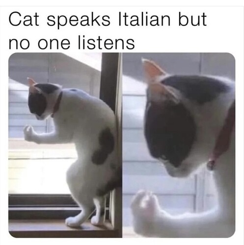 main-qimg-e41a3dbb78b46dfefe4c13608df3fd3c