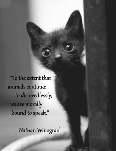 main-qimg-ca5dc994c036ad37bd5440b2aaacf8f9