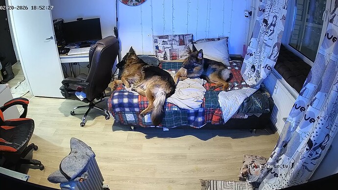 realm111-cam14-1771663744