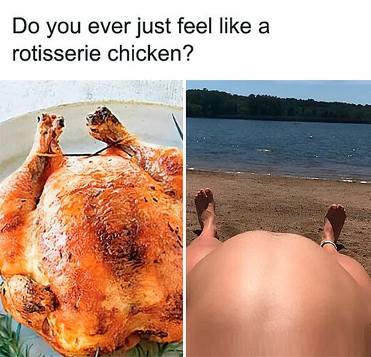Chicken