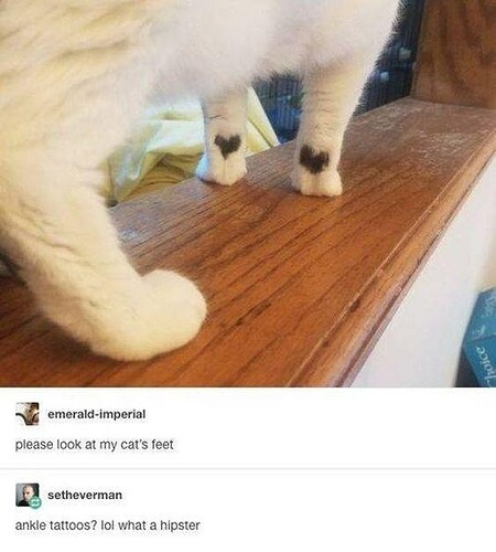 main-qimg-5e8d59fe3a726abcb35fe62cb363470f