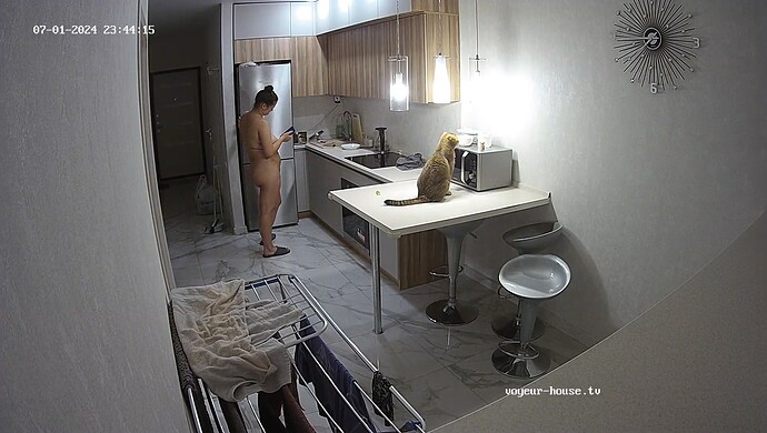 realm33-cam11-1719866688