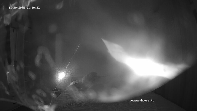 realm115-cam16-1763590273