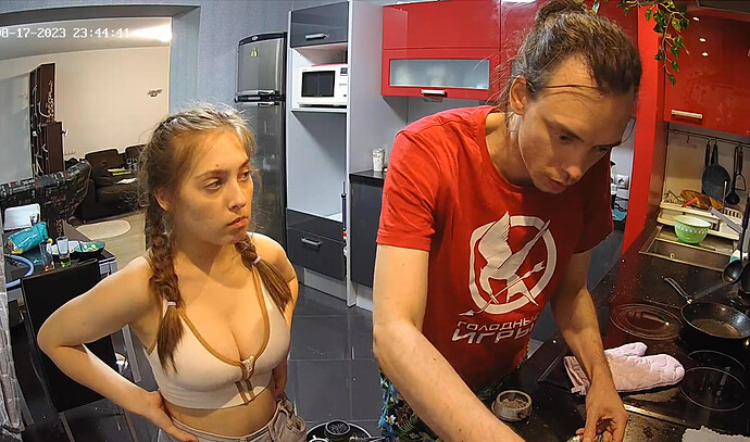 Screenshot 2023-08-17 at 13-47-42 Kitchen camera at Tonk reallifecam apartment at Voyeur House TV (cam11)