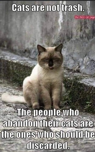 main-qimg-f165908856f468d3cc85b6d16513af3b