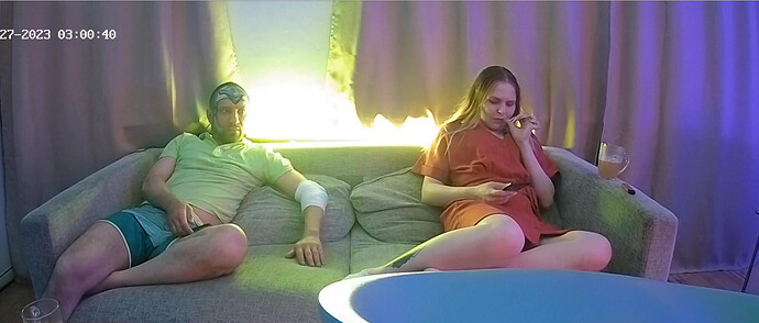 Screenshot 2023-05-26 at 17-01-20 Living room camera at Playboy House reallifecam apartment at Voyeur House TV (cam13)