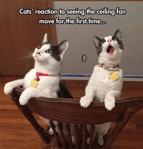 main-qimg-1fcace6a5e7e5916e4e7df7b164fd421