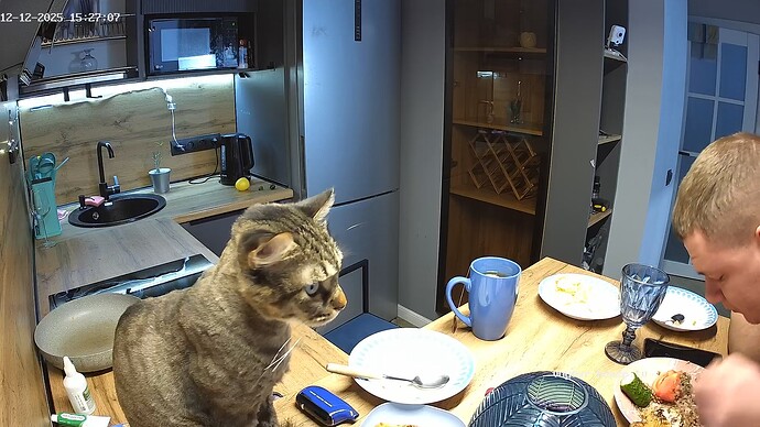 realm94-cam12-1765542467