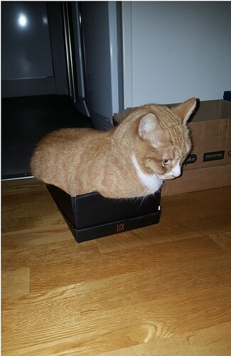 main-qimg-208367218bb2b04fd14d4d781173ea95