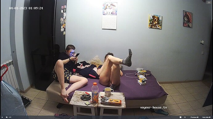 Ashampoo_Snap_samedi 1 avril 2023_0h10m1s_027_Living room camera at Jakar & Lilka reallifecam apartment at Voyeur House TV (cam14) - Google Chrome