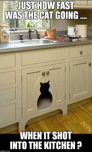 main-qimg-95ae3314d55f5358eccf1c4c56bf606a