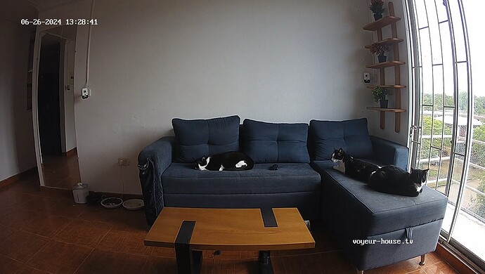 realm38-cam15-1719426554 (1)