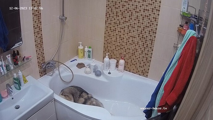 realm62-cam110-1701859410