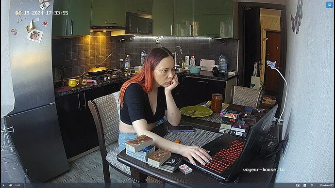 Ashampoo_Snap_vendredi 19 avril 2024_16h34m32s_001_Kitchen camera at Philippa reallifecam apartment at Voyeur House TV (cam12) - Google Chrome