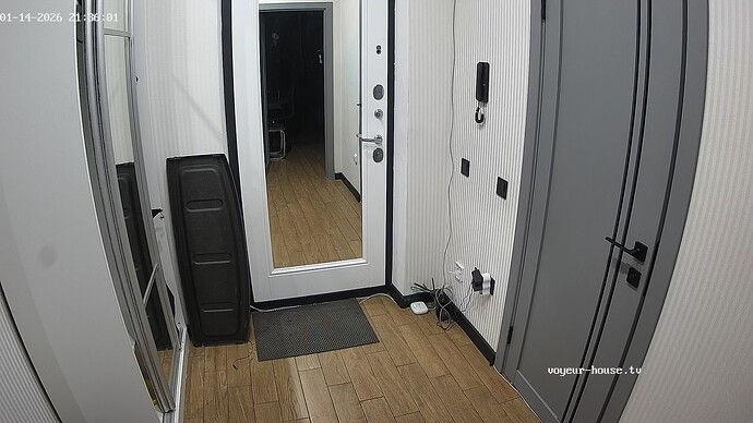 realm42-cam110-1768415801