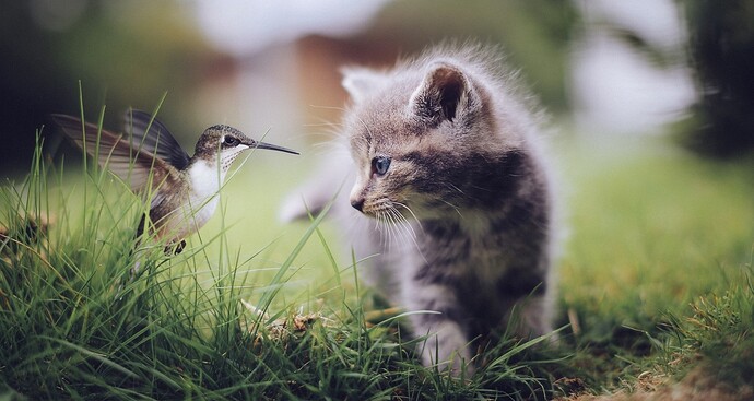 35419382-c7dd-4991-8d0b-882129461de7