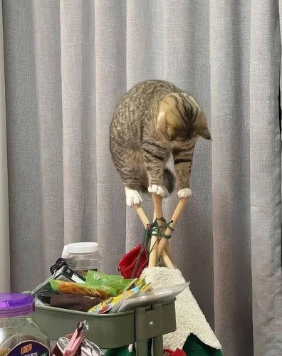 pix-dump-2162-058-6949c9ca8d295