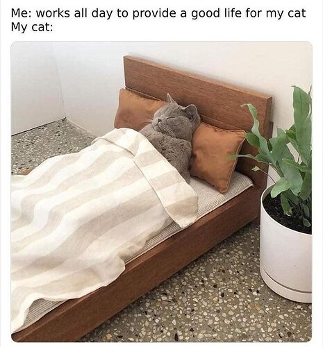 main-qimg-38bea55cf4687257f8456b7ee53c034e