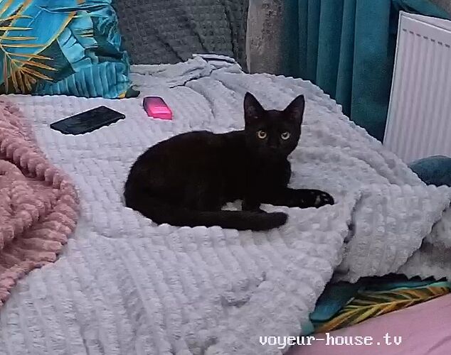 Chepuch_251015_couch_@_Lola_realm97_01