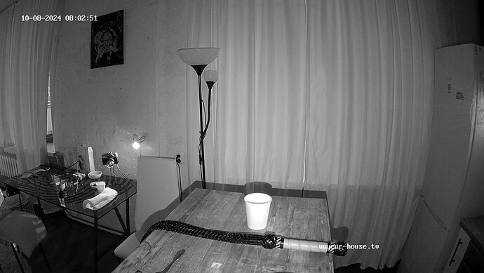 realm17-cam12-1728363058