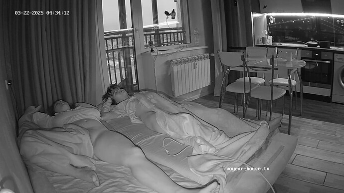 Ashampoo_Snap_samedi 22 mars 2025_2h34m51s_013_Living room camera at Tea reallifecam apartment at Voyeur House TV (cam14) - Google Chrome