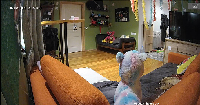 Screenshot 2023-06-02 at 13-53-42 Hall camera at Playboy House reallifecam apartment at Voyeur House TV (cam114)