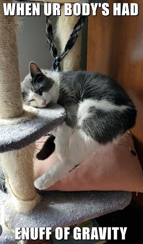 main-qimg-cab7226d90e70cdc3a68102d07ee20fb