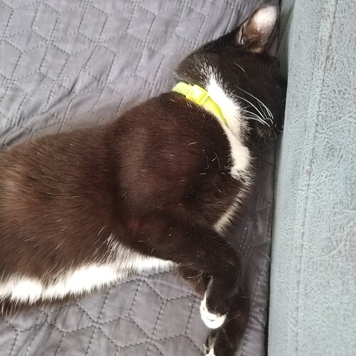 IMG_20260129_135015_edit_135056500433479