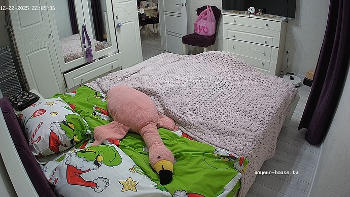 realm123-cam17-1766430373