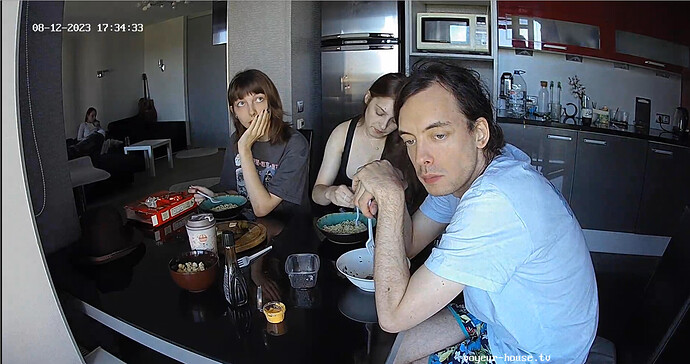 Screenshot 2023-08-12 at 12-56-25 Kitchen camera at Tonk reallifecam apartment at Voyeur House TV (cam12)