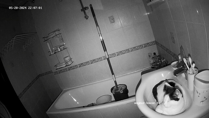 realm60-cam18-1716232058