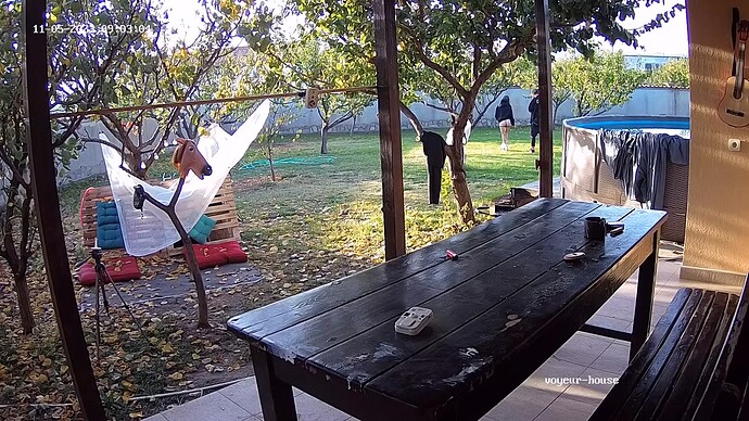 realm59-cam115-1699182442