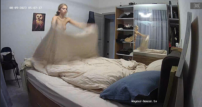 Screenshot 2023-08-08 at 22-34-52 Living room camera at Alida Gerda reallifecam apartment at Voyeur House TV (cam14)