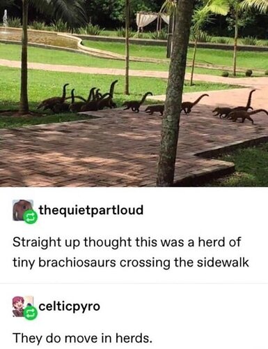 main-qimg-8e94d7c461c6170989060cbdc8a80eb1-lq