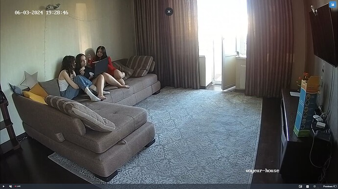 Ashampoo_Snap_lundi 3 juin 2024_18h29m29s_051_Living room camera at Belladona reallifecam apartment at Voyeur House TV (cam13) - Google Chrome