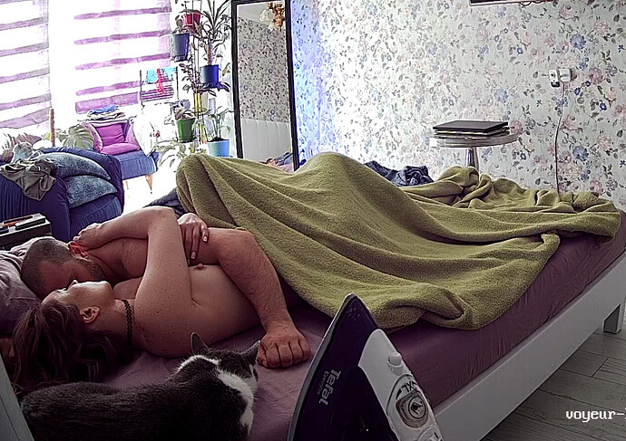 Screenshot 2023-06-20 at 11-33-46 Guest bedroom camera at Sophia Elon Claudia reallifecam apartment at Voyeur House TV (cam110)