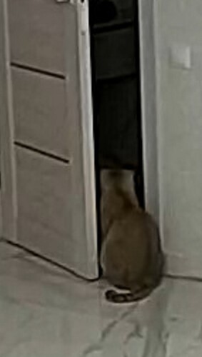 checking the wardrobe 2