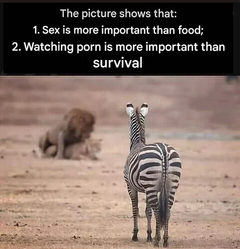 grafik