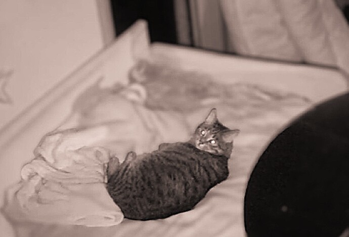 bandicam 2026-01-29 17-19-21-543